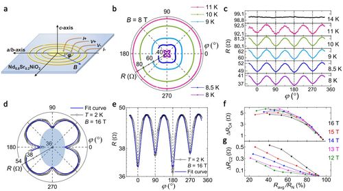 王健课题组与合作者在无限层镍氧化物超导薄膜中发现旋转对称性破缺的非常规超导态